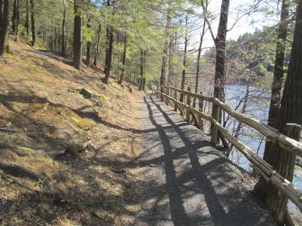 The Lakeshore Path
