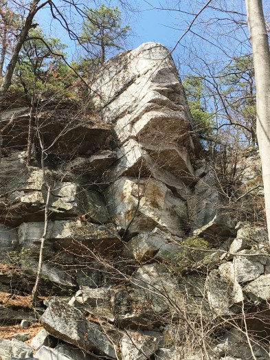 Frank auto mohonk etc 630.jpg