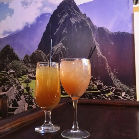 irene jan and feb 220